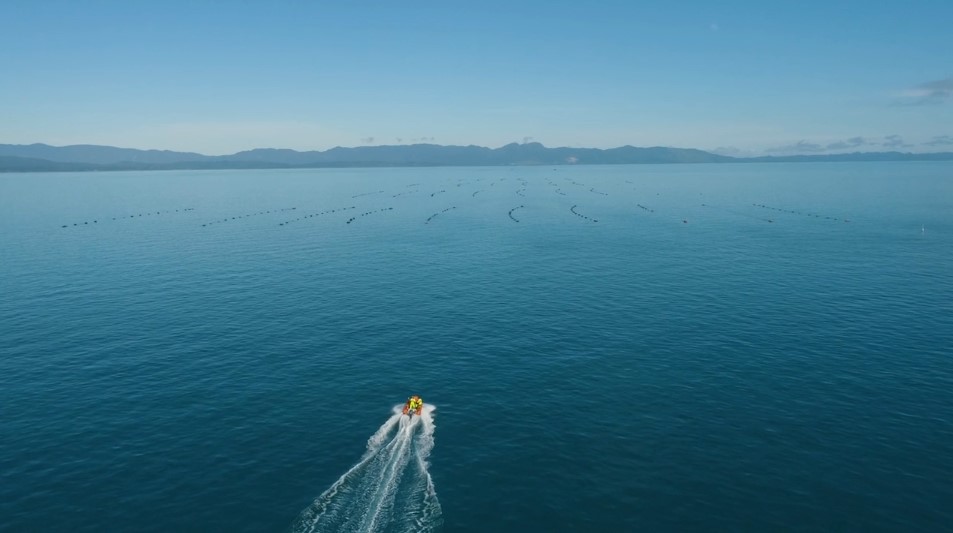 Boat in sea