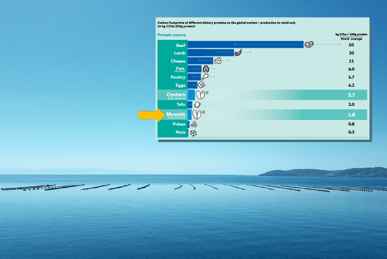 Carbon Footprints Graph