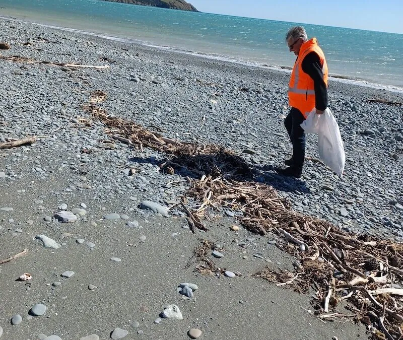 From Gold to Platinum: Our Journey in Environmental Stewardship